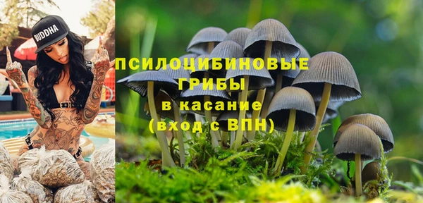 МДМА Богородск