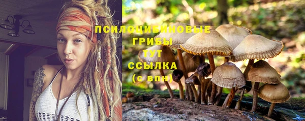 марки lsd Богданович