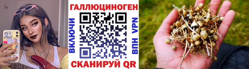 Галлюциногенные грибы Psilocybine cubensis  kraken ТОР  Пермь 